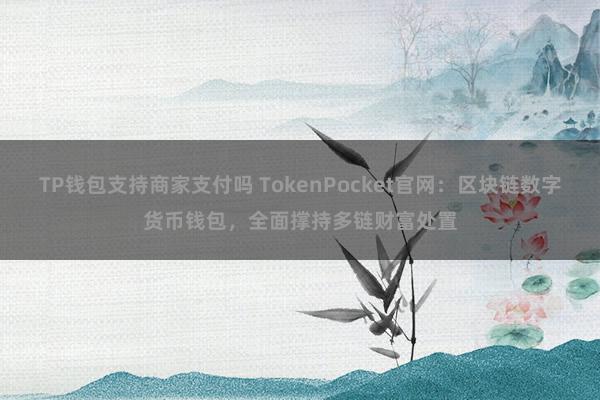 TP钱包支持商家支付吗 TokenPocket官网：区块链数字货币钱包，全面撑持多链财富处置